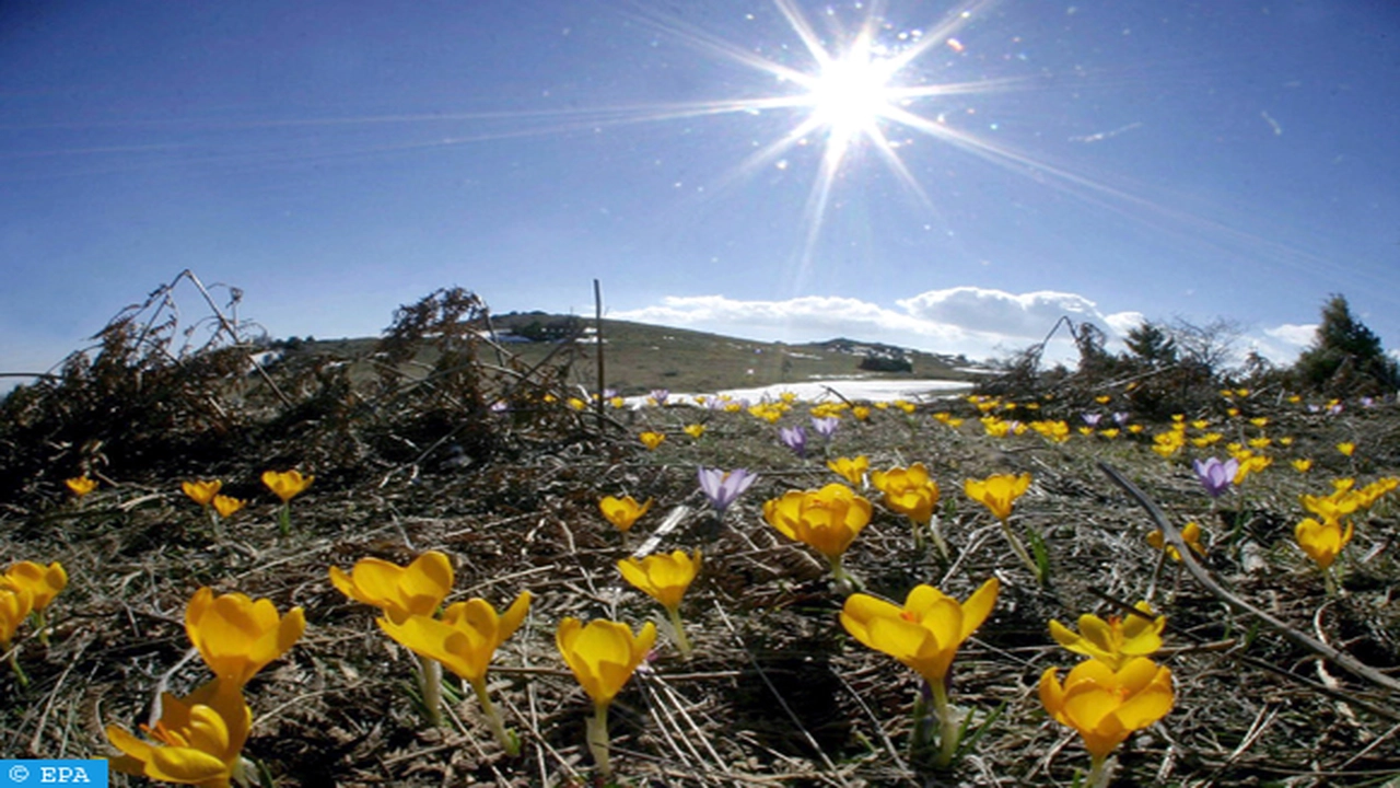 تطورات مفاجئة في حالة الطقس المتوقعة بمختلف المناطق خلال ساعات يوم الجمعة